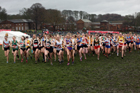 Senior girls 2019 New Balance English Schools Cross Country Champs, Temple Newsam, Leeds. Photo:  David T. Hewitson/Sports for All Pics